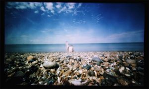 HolgaWPCBeach40809.1pc.jpg