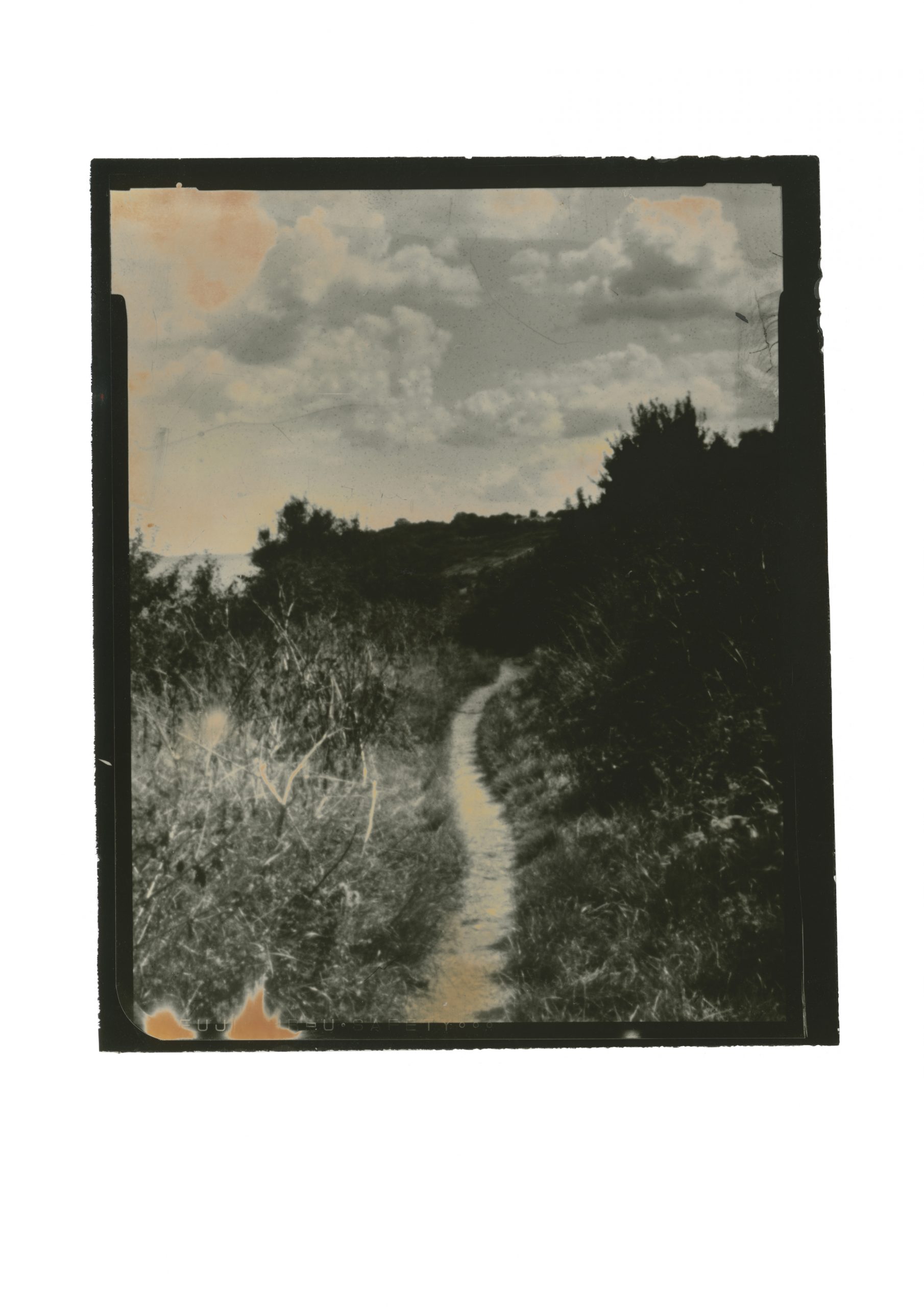 central path amongst overgrown bushes leading to an almost vanishing points it curves out of sight. sky full of clouds with a hint of orange from hand painting